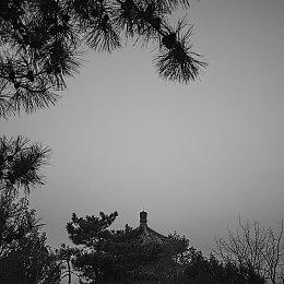 埃及神话背景《战神》衍生作 混乱之神赛特或担任主角